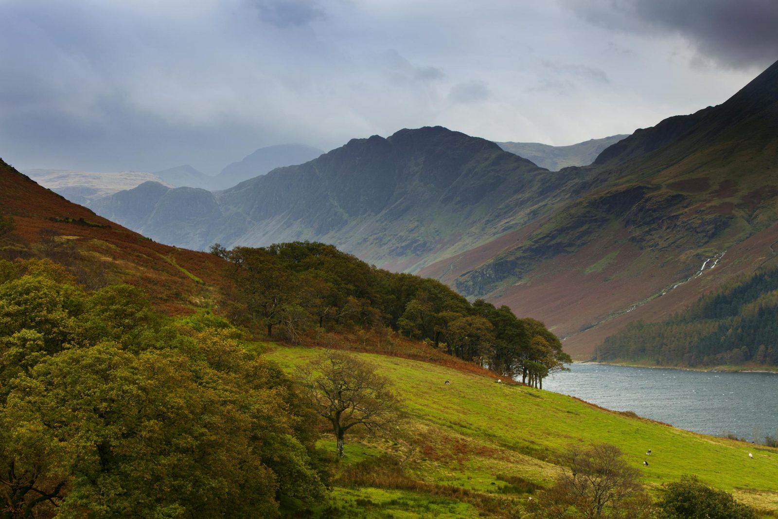 Breathtaking autumn landscape of mountains, trees, and a serene lake in the Lake District, England.