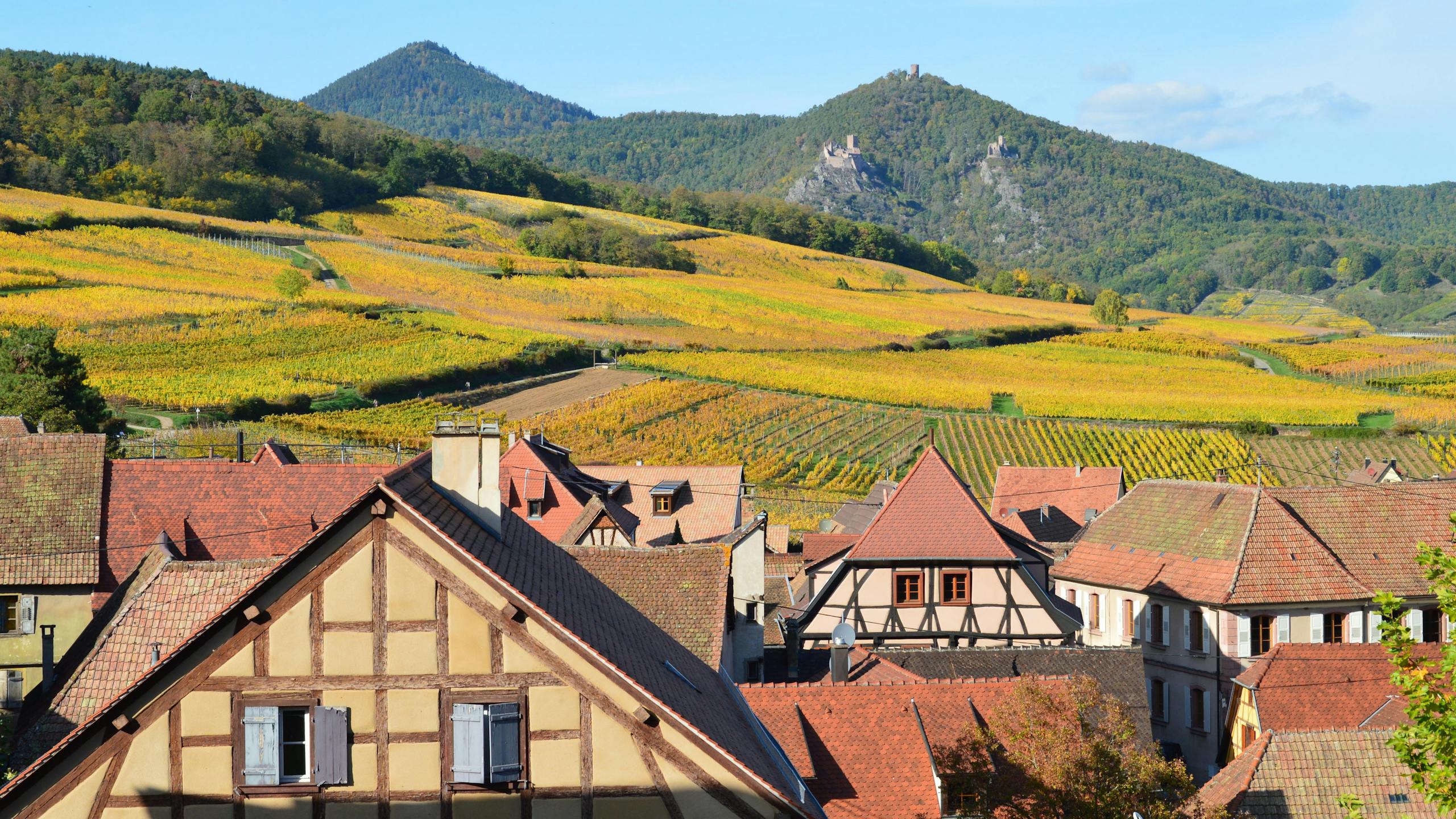 4 Incredible Day Trips from Basel, Switzerland to France, Germany & Beyond