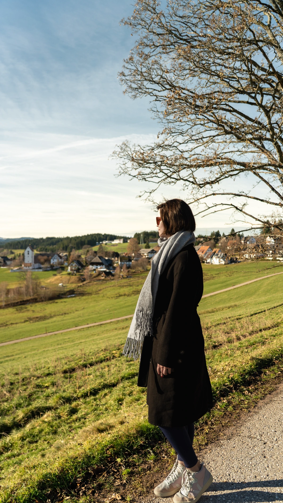 The Black Forest: A Guide to Visiting Germany’s Fairytale Region 