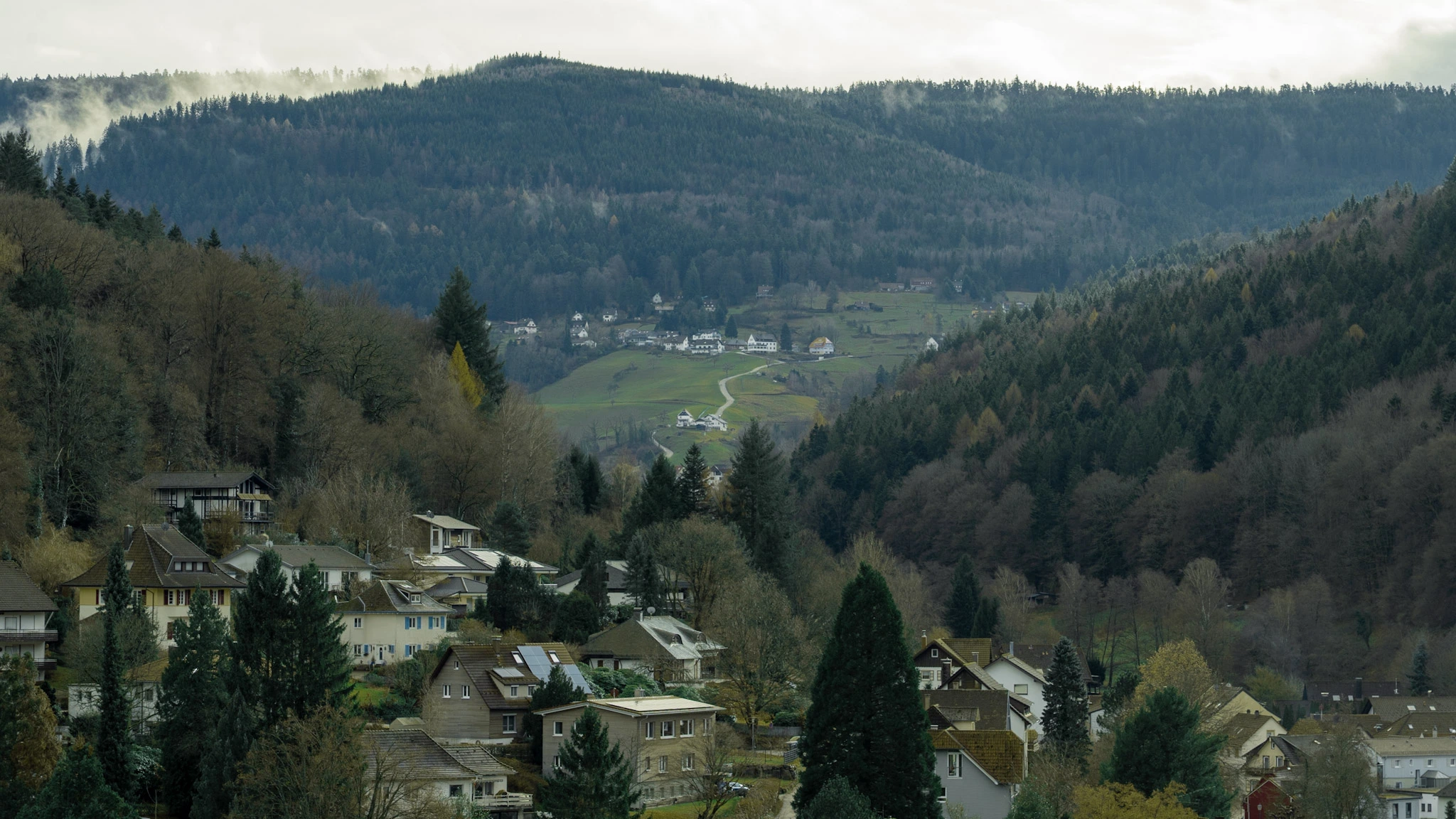 an image of the black forest, germany