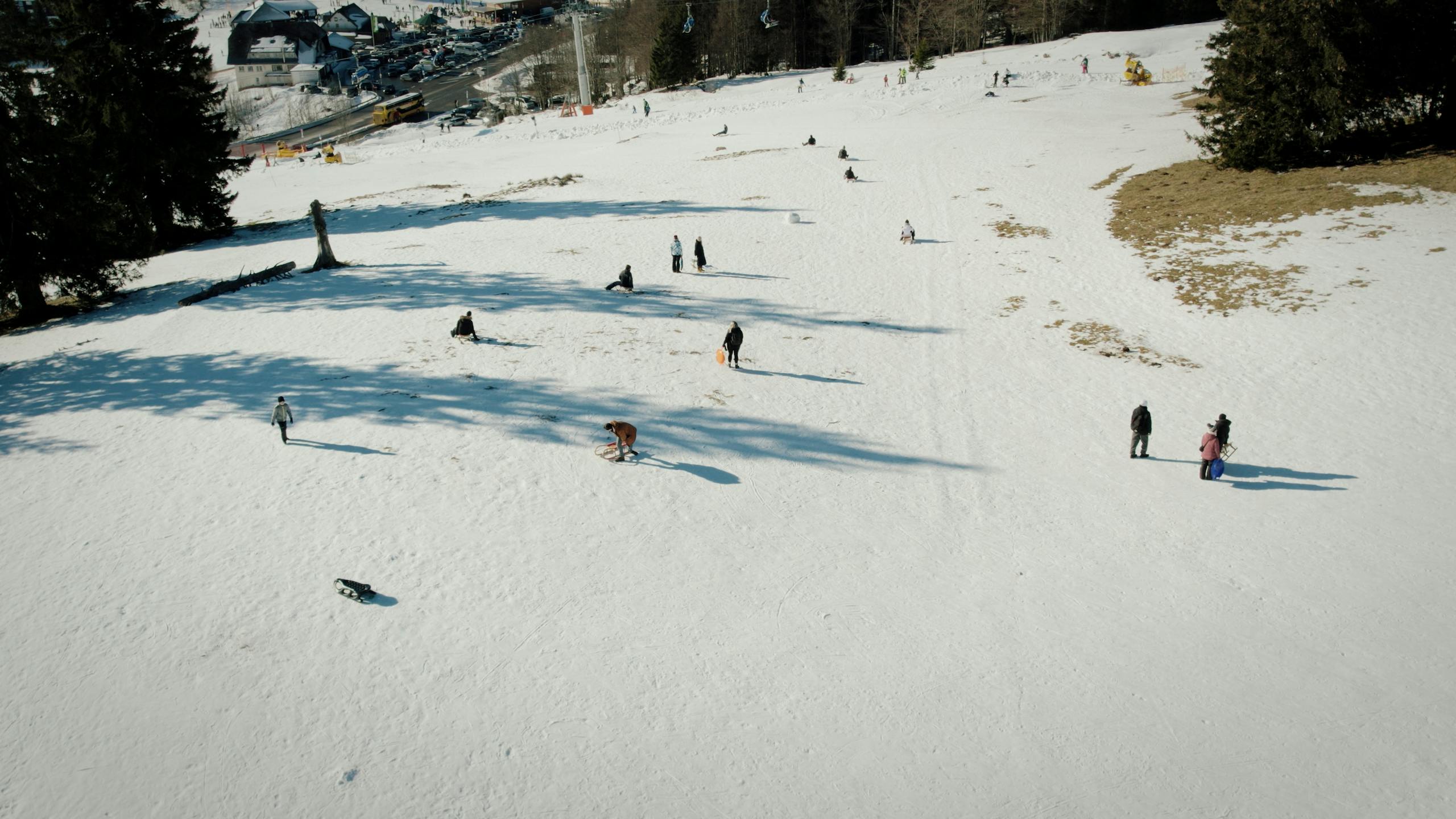 people sledding in snowy feldberg, black forest germany