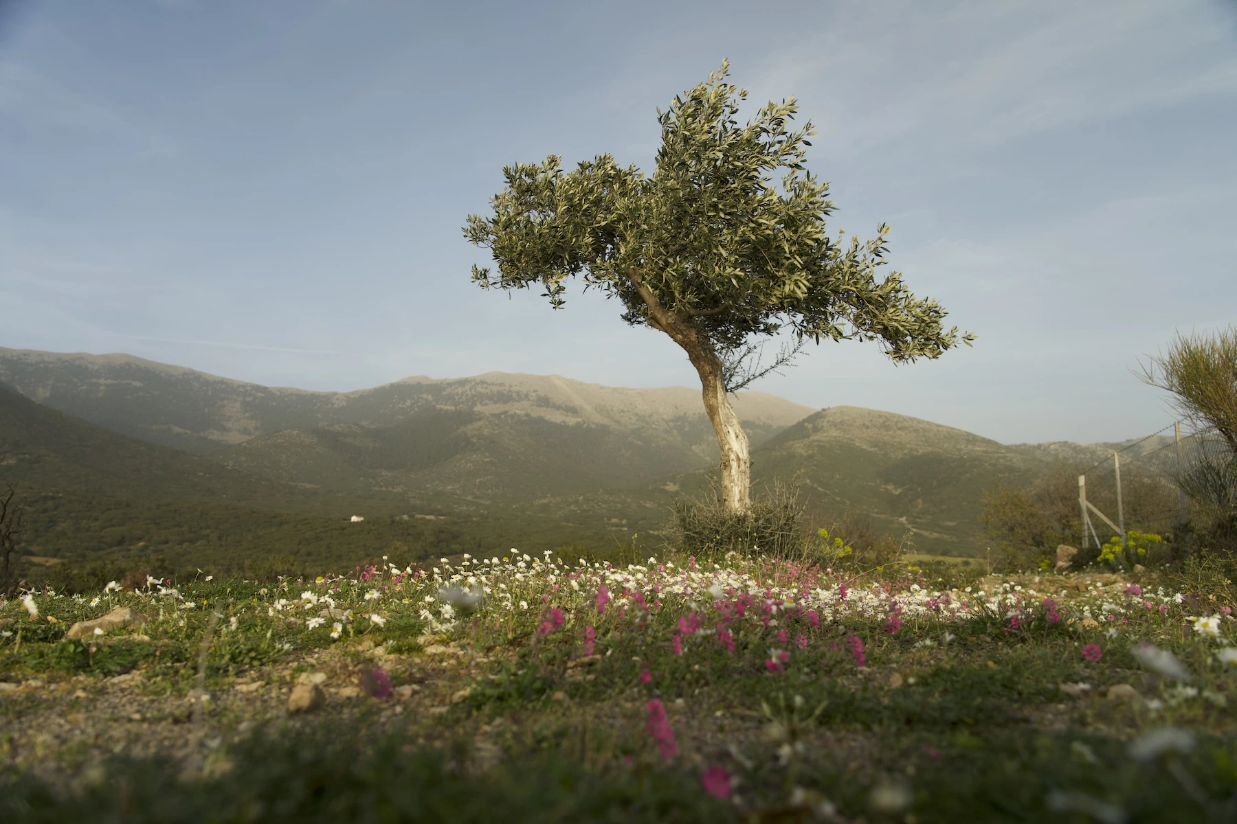 Mountain and village landscape in mainland Greece